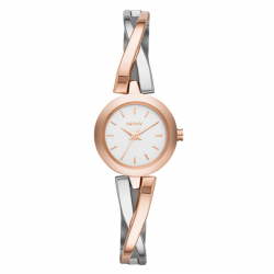 Đồng hồ nữ thời trang DKNY NY2172