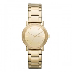 Đồng hồ nữ thời trang DKNY NY2178